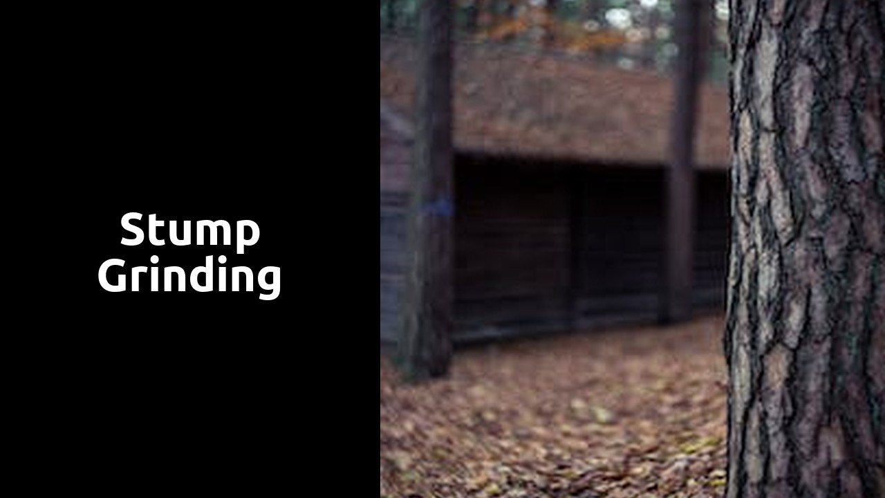 Stump Grinding